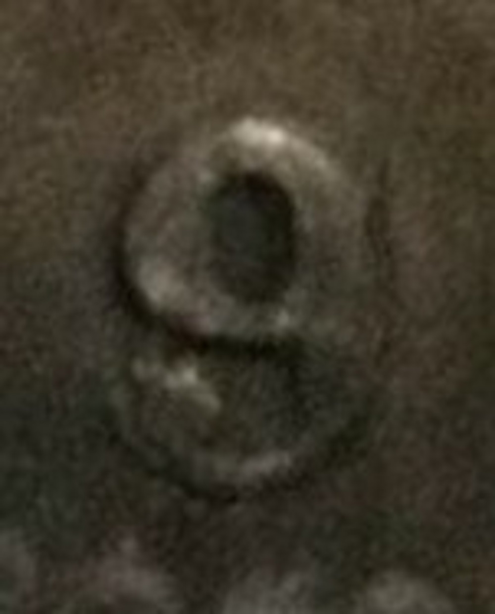 1819/8-50c-Capped-Bust-Half-Dollar---Overton-104